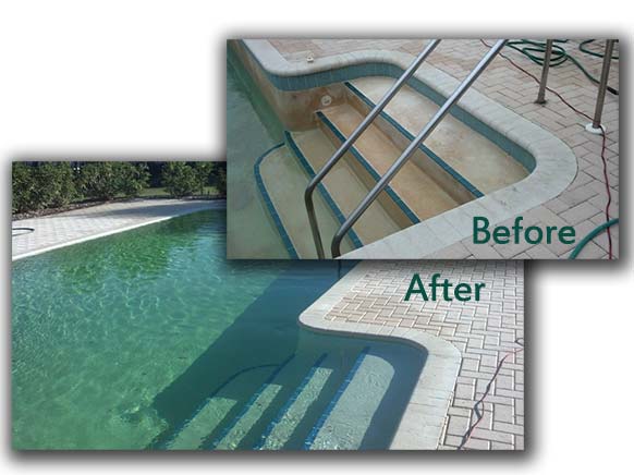 Sarasota Florida Pool Cleaning